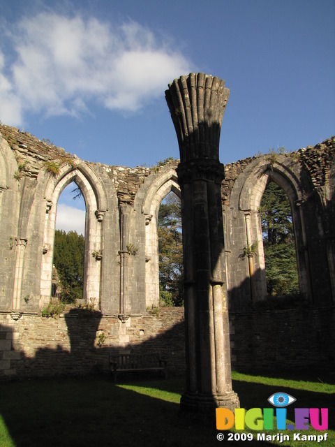 SX09843 Column in Margam Abbey